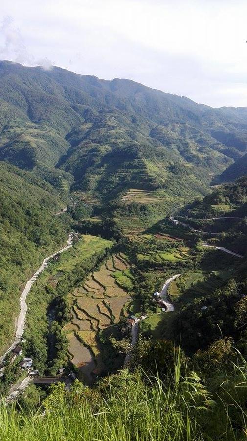 Native Village Inn Banaue Buitenkant foto
