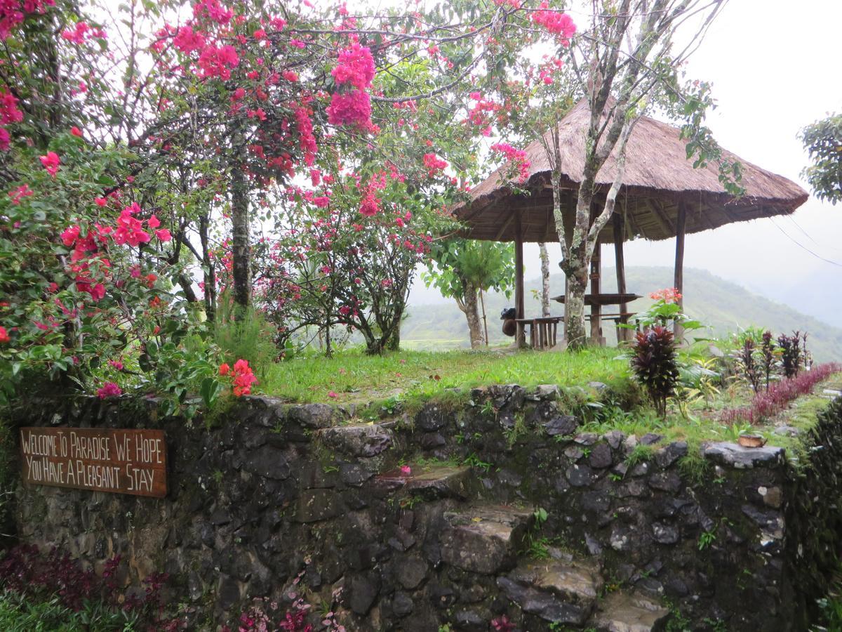 Native Village Inn Banaue Buitenkant foto