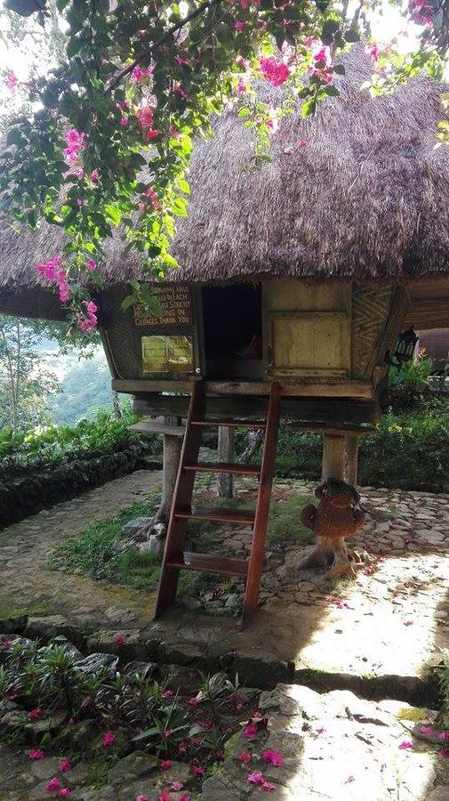 Native Village Inn Banaue Buitenkant foto